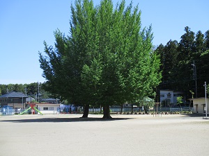IMG_2269 IMG_2269