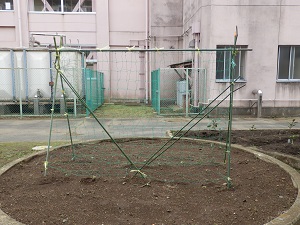 P5221707 P5221707