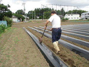 IMG_0351 IMG_0351