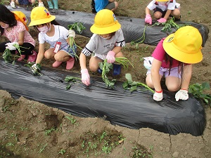 IMG_0358 IMG_0358