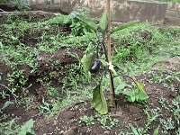 IMG_0408 IMG_0408