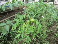 IMG_0407 IMG_0407