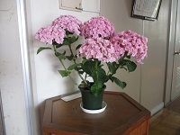 IMG_0409 IMG_0409