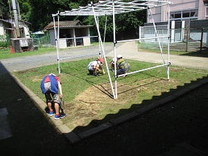 IMG_0428 IMG_0428