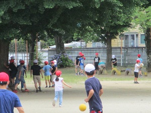 IMG_2215 IMG_2215