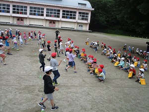 IMG_0445 IMG_0445