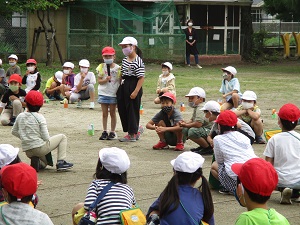IMG_0452 IMG_0452