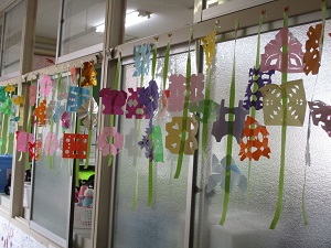 IMG_0493 IMG_0493