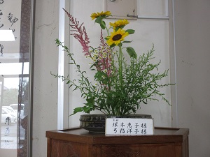 IMG_0562 IMG_0562