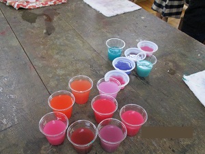 IMG_0241 IMG_0241