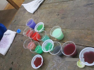 IMG_0242 IMG_0242