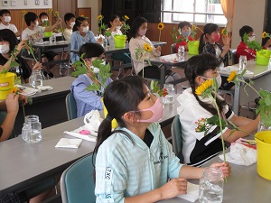 IMG_0591 IMG_0591