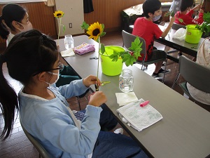 IMG_0596 IMG_0596