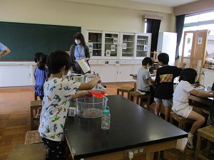 IMG_1177 IMG_1177