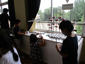 IMG_1178 IMG_1178
