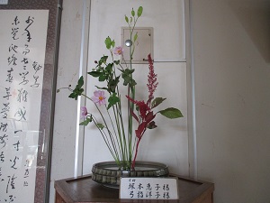 IMG_0671