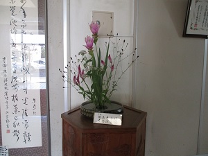 IMG_0756 IMG_0756