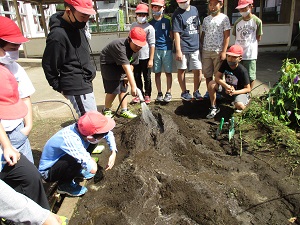 IMG_0873 IMG_0873