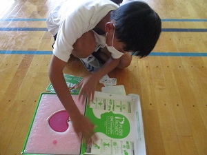 IMG_2542 IMG_2542