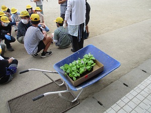 IMG_0898 IMG_0898