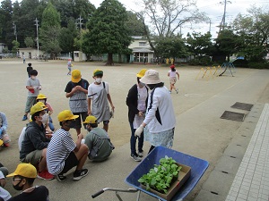 IMG_0899 IMG_0899