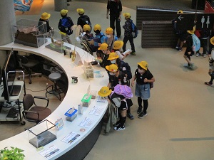 IMG_0934 IMG_0934