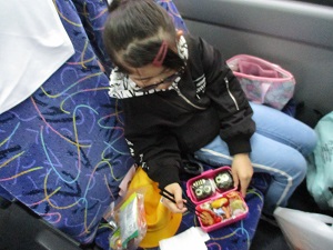 IMG_0951 IMG_0951