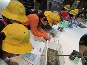 IMG_0963 IMG_0963