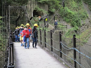 IMG_1010 IMG_1010