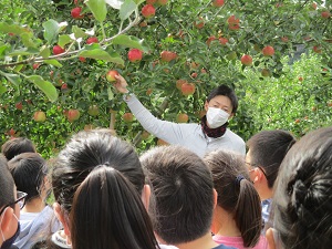 IMG_1068 IMG_1068