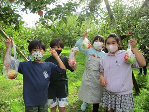 IMG_1071 IMG_1071
