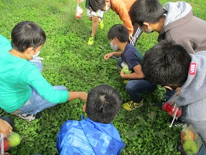 IMG_1074 IMG_1074