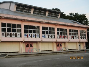 IMG_2320 IMG_2320