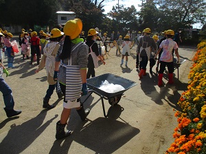 IMG_1156 IMG_1156