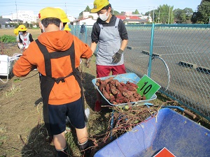 IMG_1174 IMG_1174