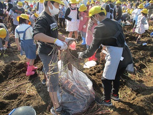 IMG_1175 IMG_1175