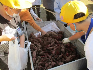 IMG_1181 IMG_1181