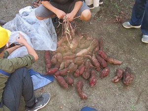 IMG_1184 IMG_1184