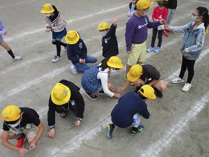 IMG_1193 IMG_1193