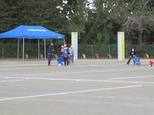 IMG_1197 IMG_1197