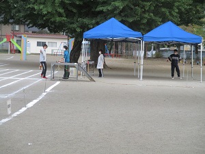 IMG_1200 IMG_1200