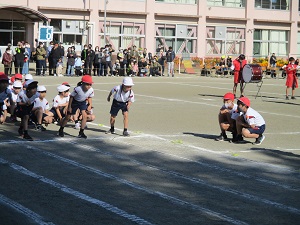 IMG_1222 IMG_1222