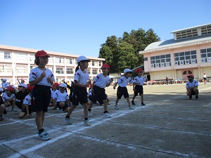 IMG_1239 IMG_1239