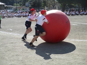 IMG_1260 IMG_1260