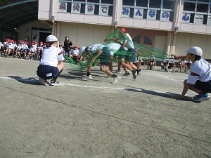 IMG_1265 IMG_1265