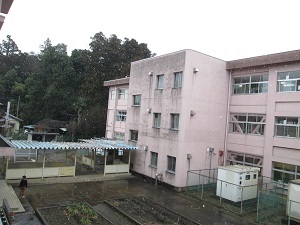 IMG_2833 IMG_2833