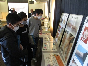 IMG_2474 IMG_2474