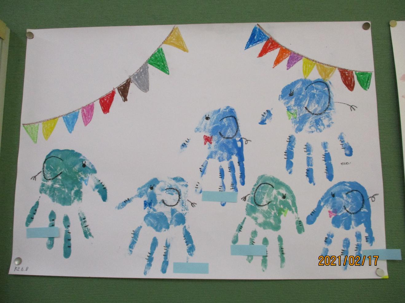 IMG_2443 IMG_2443
