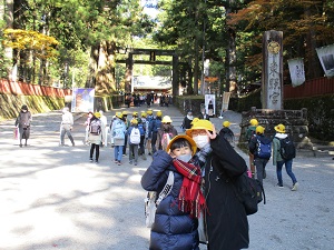 IMG_2558 IMG_2558