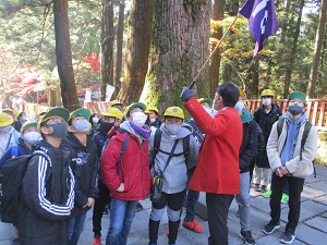 IMG_2683 IMG_2683